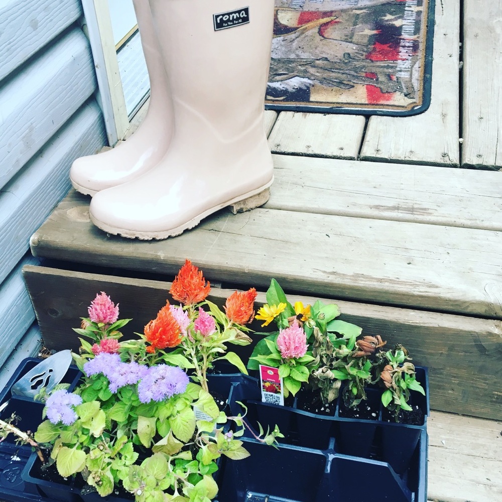 Rain boots